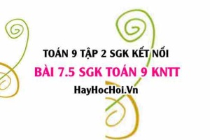 Bài 7.5 SGK Toán 9 tập 2 Kết nối tri thức